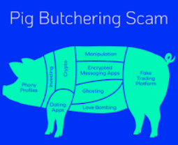 Pig Buthering